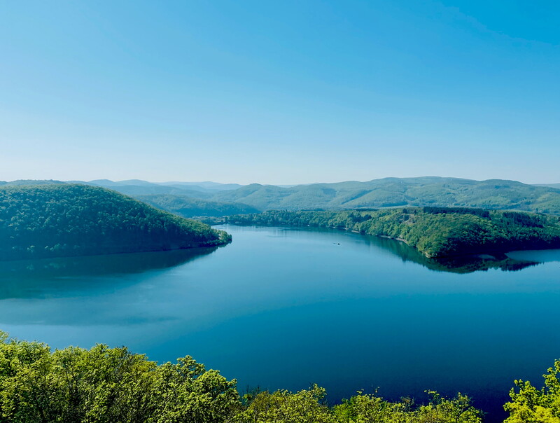 Ein Panoramabild des Edersees umgeben von grünem Wald bei blauem Himmel