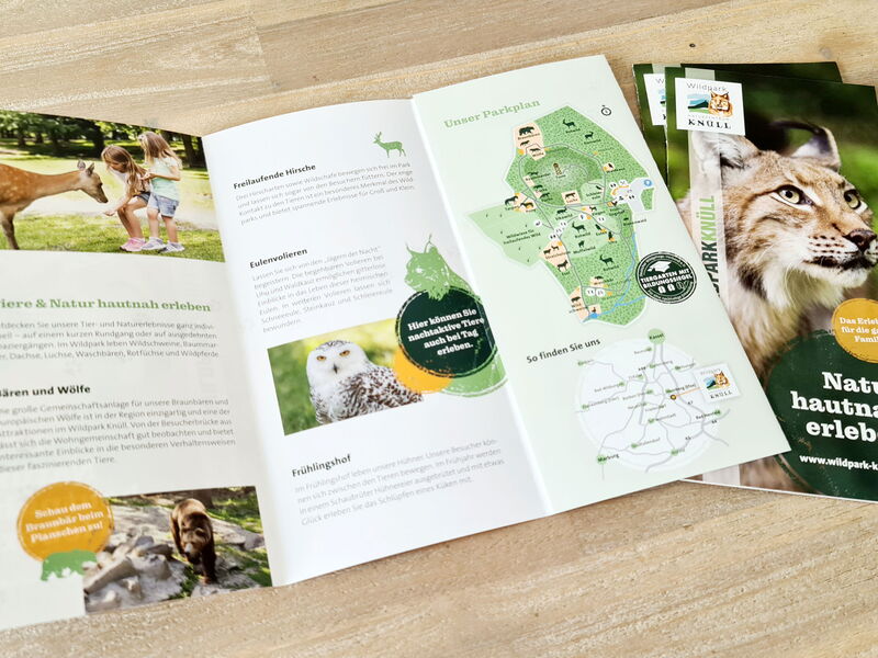 Broschüren über die verschieden Tierarten die der Wildpark Knüll zu bieten hat liegen auf einem Holztisch