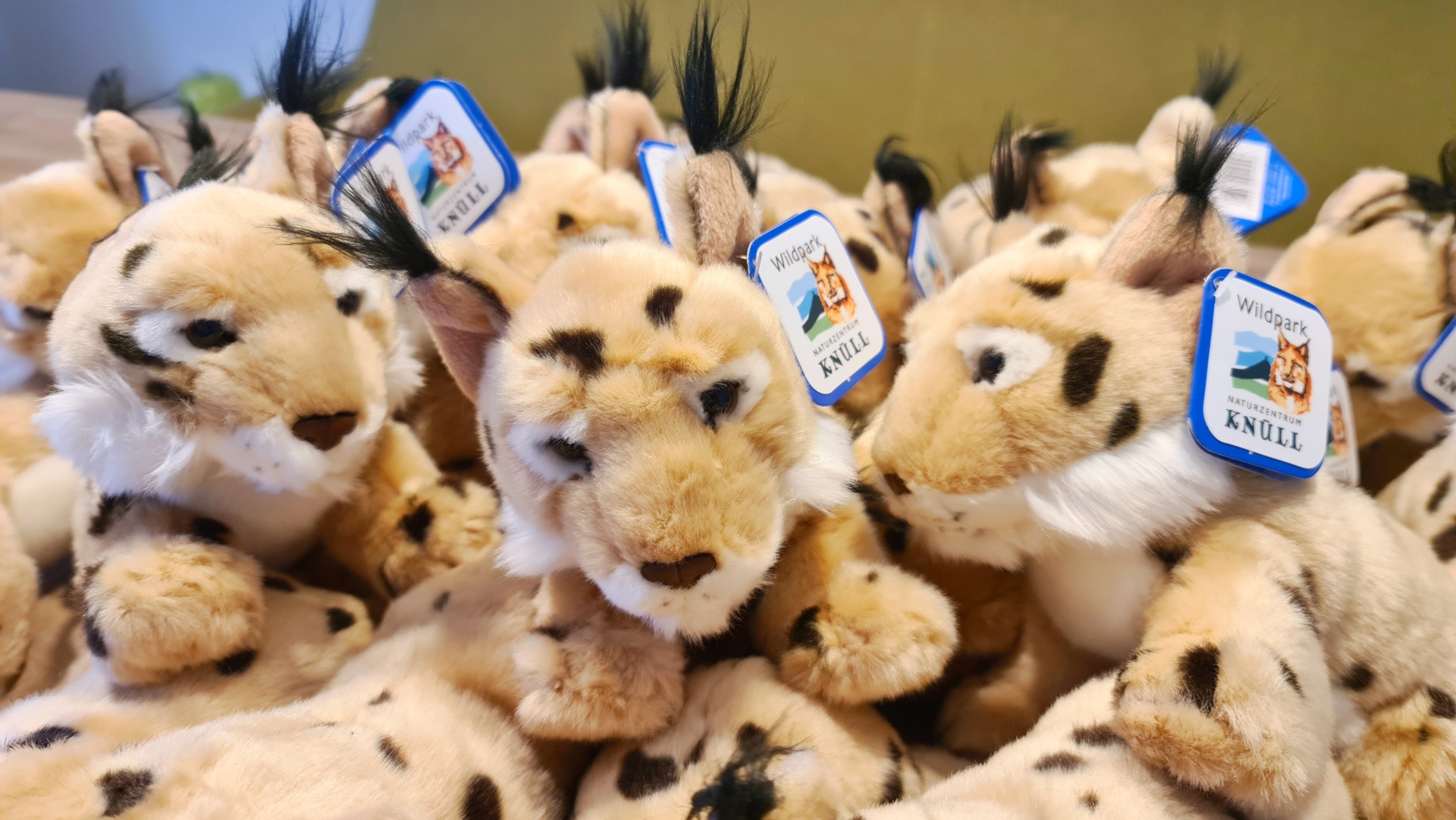 ganz viele Kuscheltiere aus dem Wildpark Knüll in Form eines Luchs liegen aufeinander