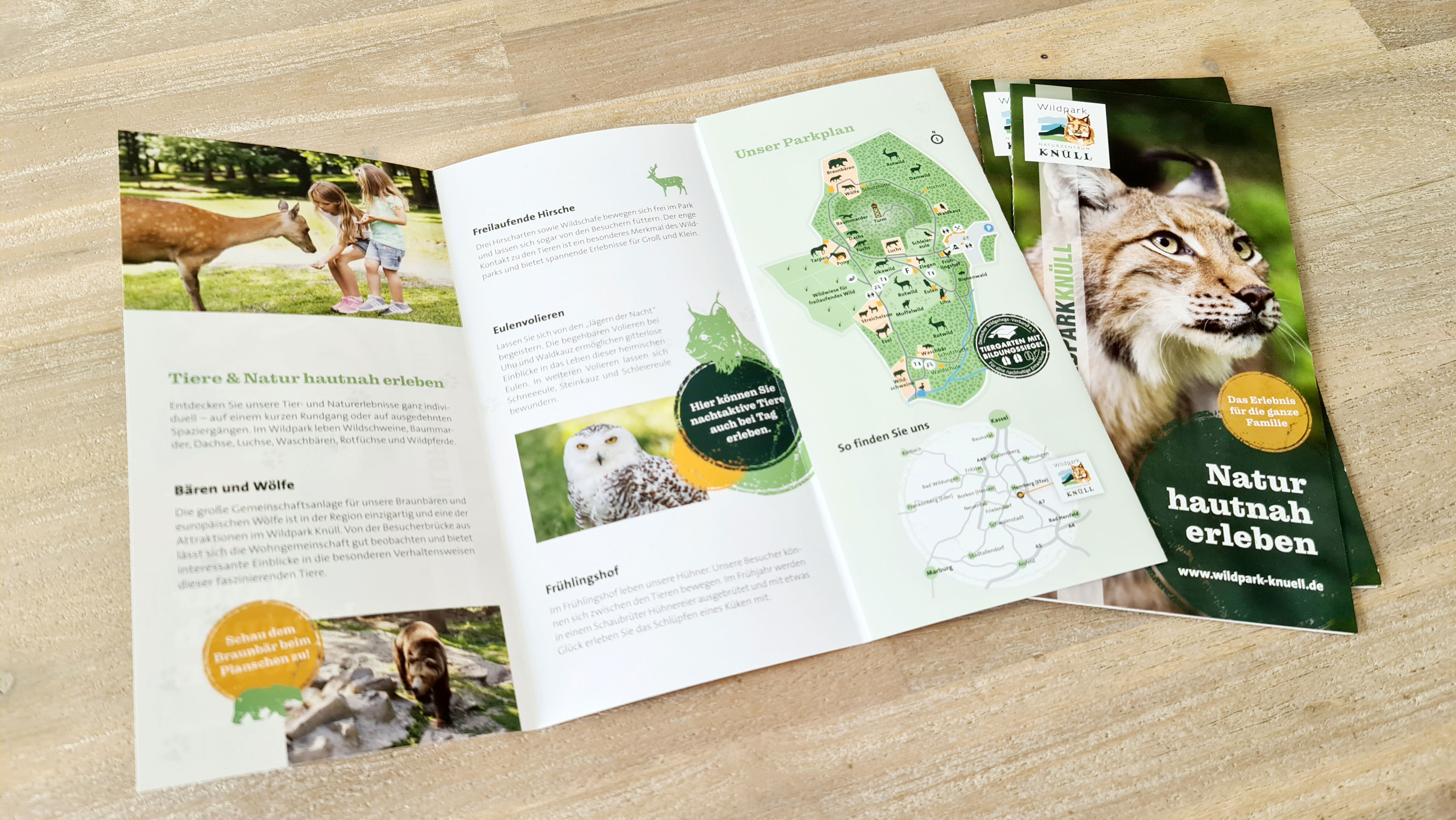 Broschüren über die verschieden Tierarten die der Wildpark Knüll zu bieten hat liegen auf einem Holztisch